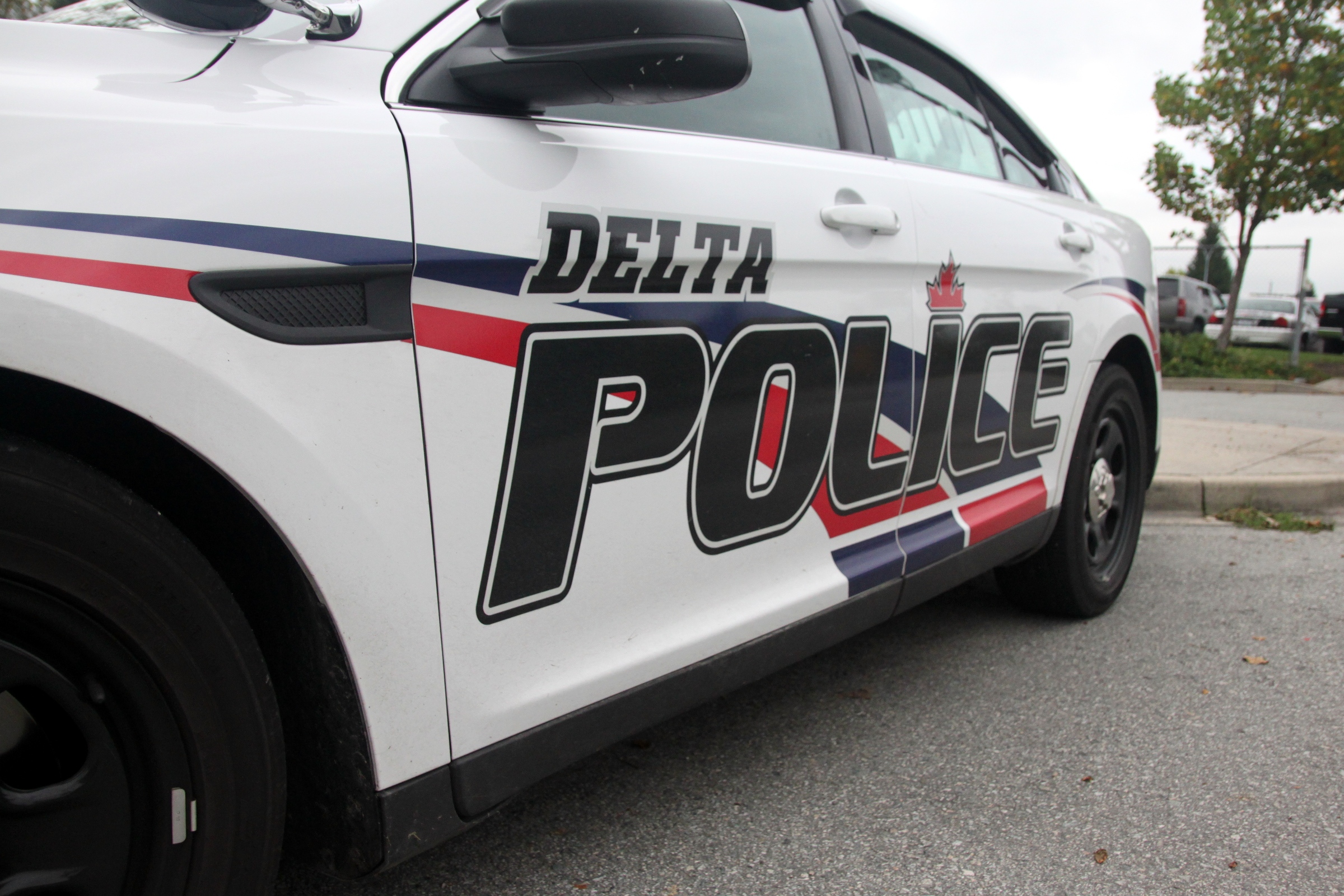 delta-police